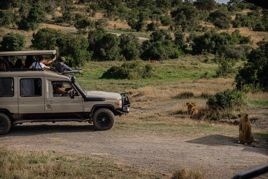 Conservation volunteers monitoring lions in Kenya